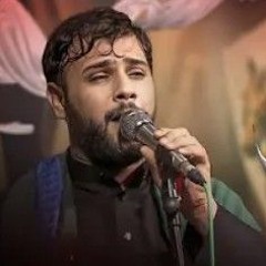 لو ما خدمتك  سيد فاقد الموسوي  محرم الحرام 1446 هـ.mp3