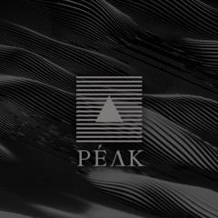 DAYWALKER : PEAK NEW YEAR MIXSET