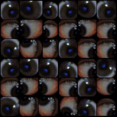 ++##brainslop