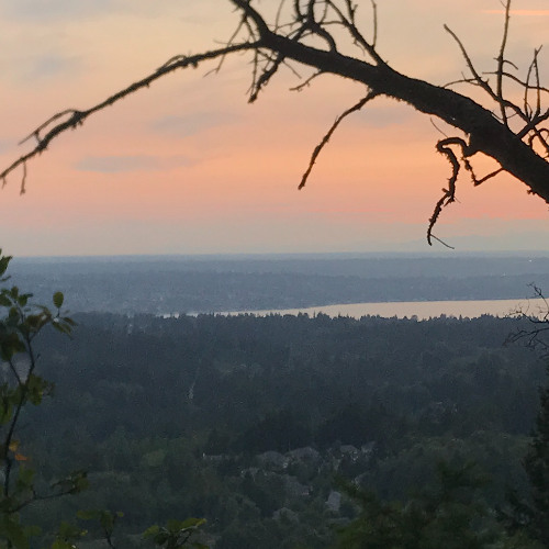 bye weight (futurerubyflip)