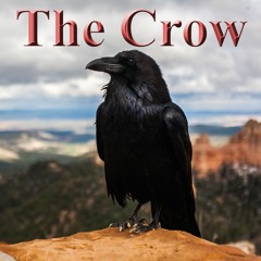 The Crow (in Eldorado Canyon) A Poem