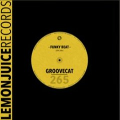 Groovecat - Funky Beat