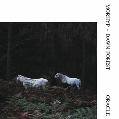 MORHYP - Dawn Forest