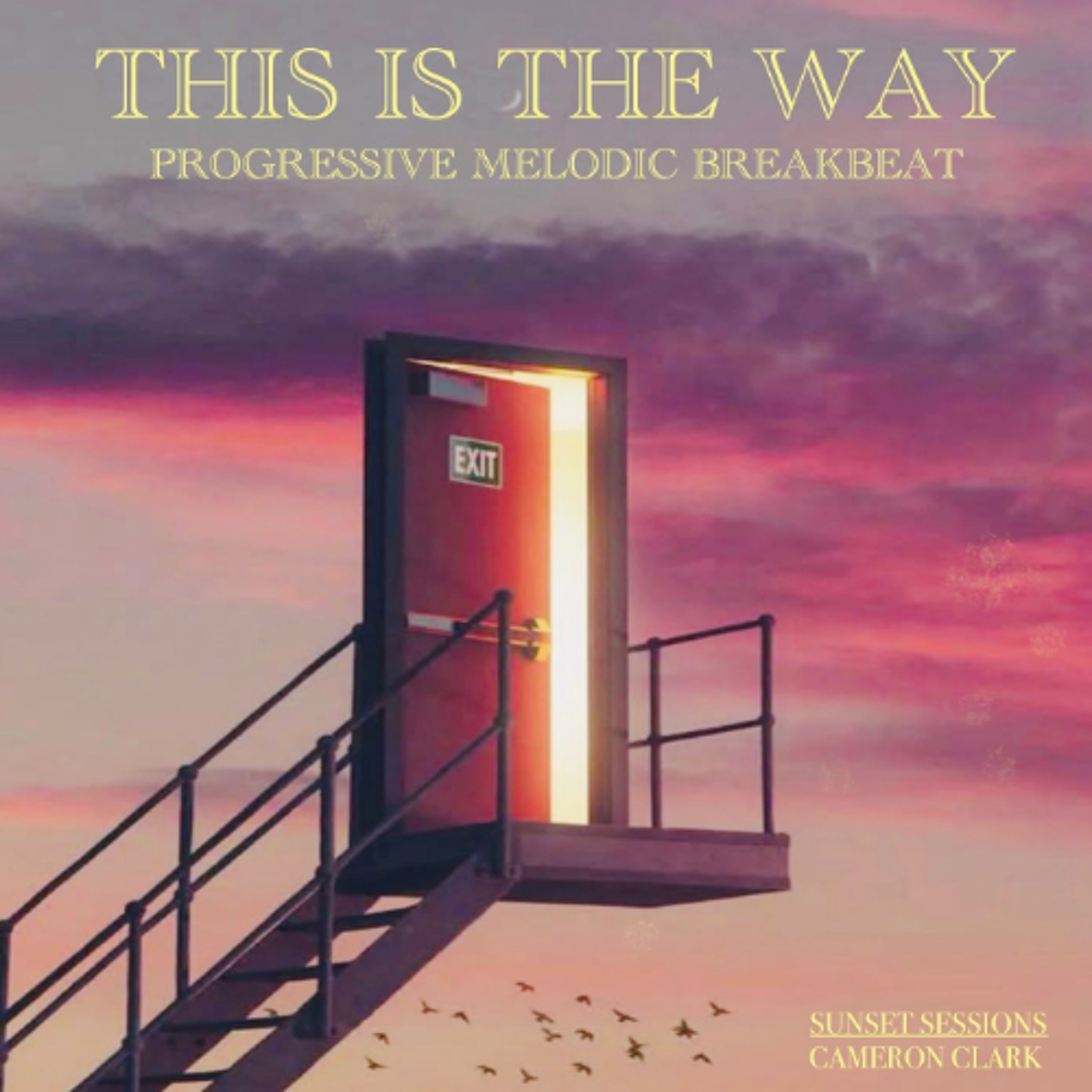 Ep. 75 "This is the Way!" Part I (Progressive Breaks,Melodic breaks,Breakbeat) episode artwork