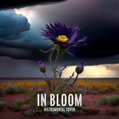 In Bloom [Nirvana Instrumental Cover]