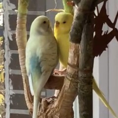 장범준 - 흔들리는 꽃들 속에서 네 샴푸향이 느껴진거야 [유희열의 스케치.mp3