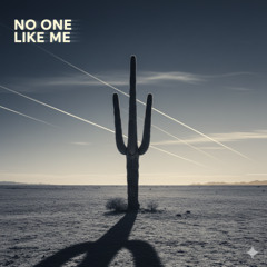 No One Like Me