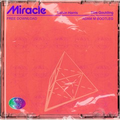 Calvin Harris & Ellie Goulding - Miracle (Adam M Bootleg)