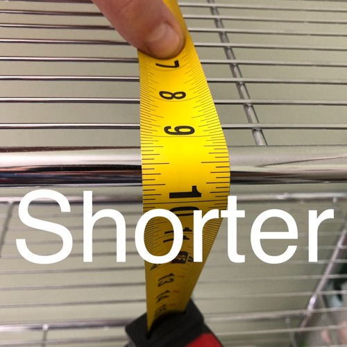Shorter