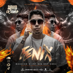 FENIX SESSIONS BY DAVID RIAÑO 2025