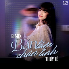 Bán Tấm Chân Tình (DJ Thảo BeBe Remix)