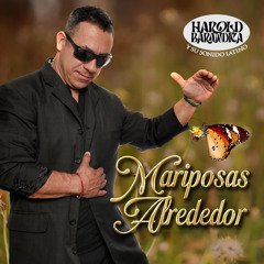 Mariposas Alrededor