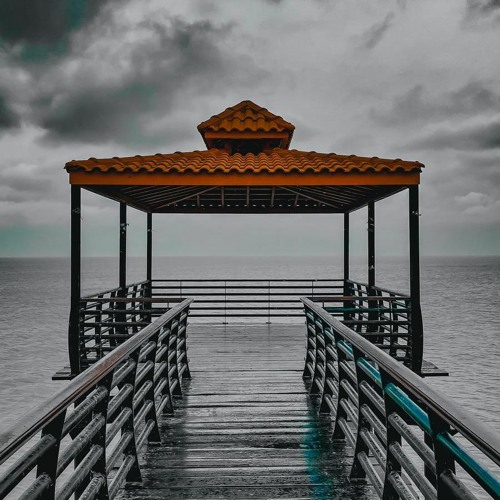 وسام العراقي عوفها