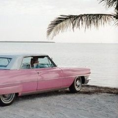Cadillac sunsets [91]