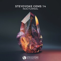 V.A. - Steyoyoke Gems Nocturnal 14 | Steyoyoke