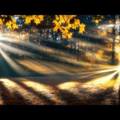 Autumn rays