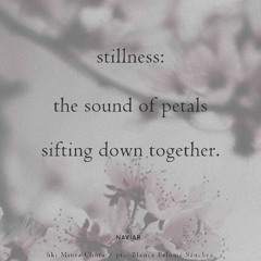 The Vulgarization of Haiku [ naviarhaiku571 ]