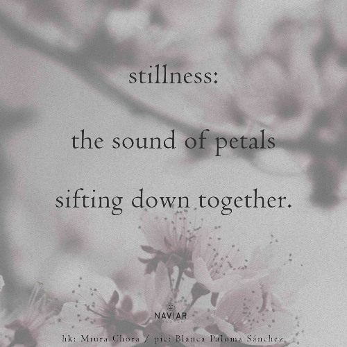 The Vulgarization of Haiku [ naviarhaiku571 ]