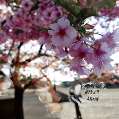 Never Again (prod. Tsein)