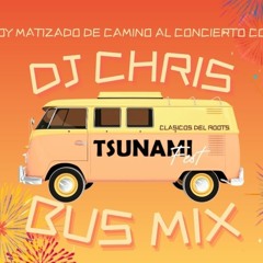 Dj Chris - Tsunami Fest Bus Mix 2023