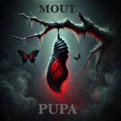Pupa