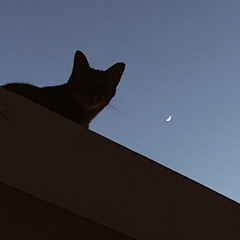 [Cover] NCT DREAM-북극성