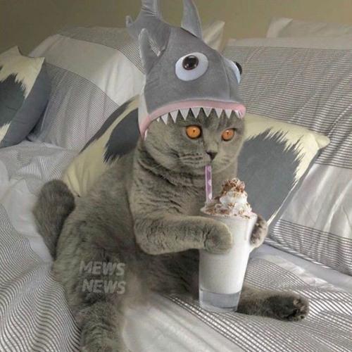 BeatsBoomingBang - Peepeepoopoo Check TikTok