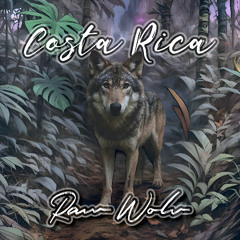 Costa Rica (Original Mix)