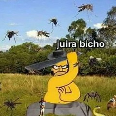 ''temporal'' Biccante, Chanti (solo)