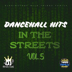 DANCEHALL HITS IN THE STREETS VOL.5 DJBRIMSTONE