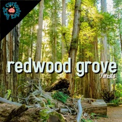 Redwood Grove