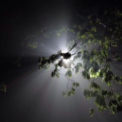 solace