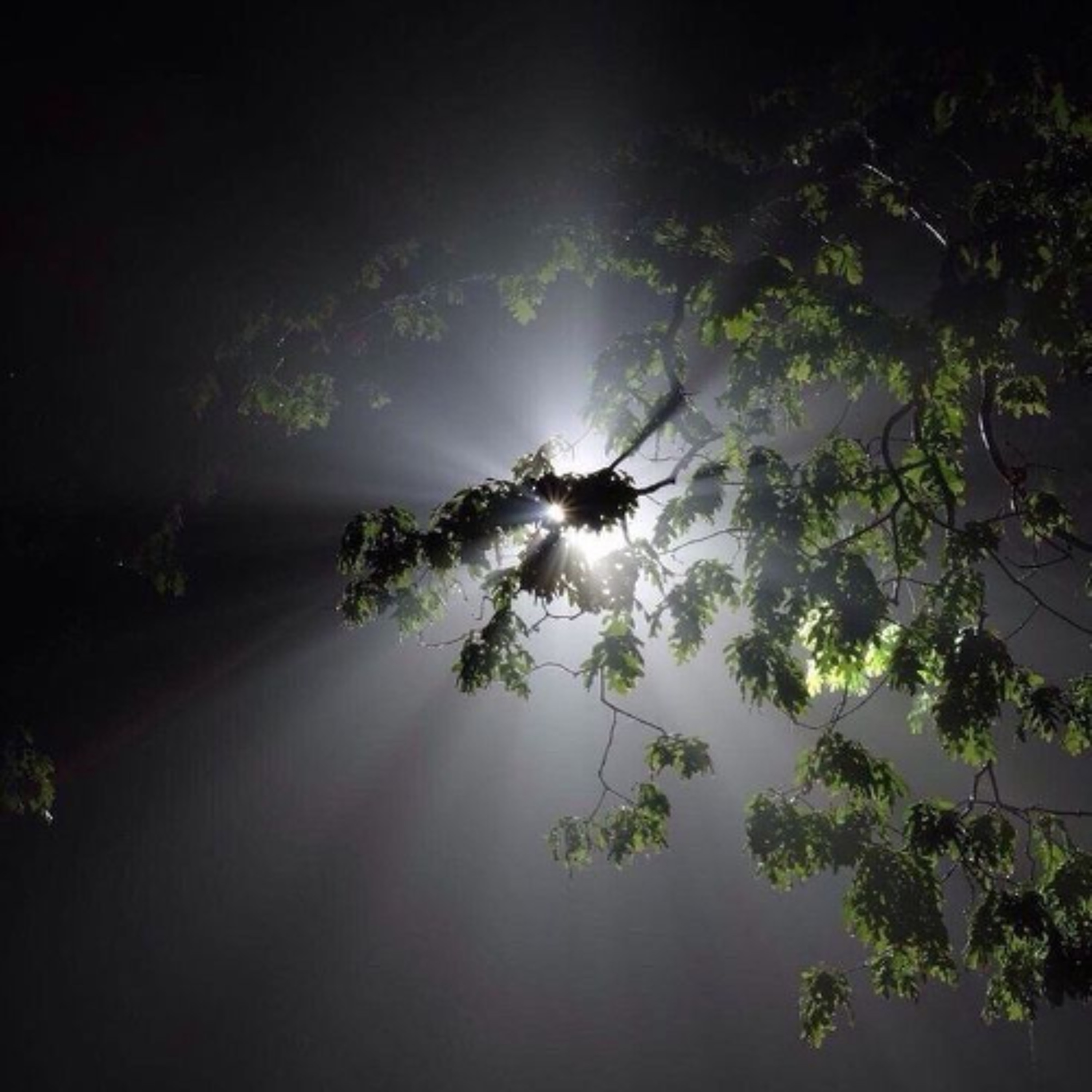 solace