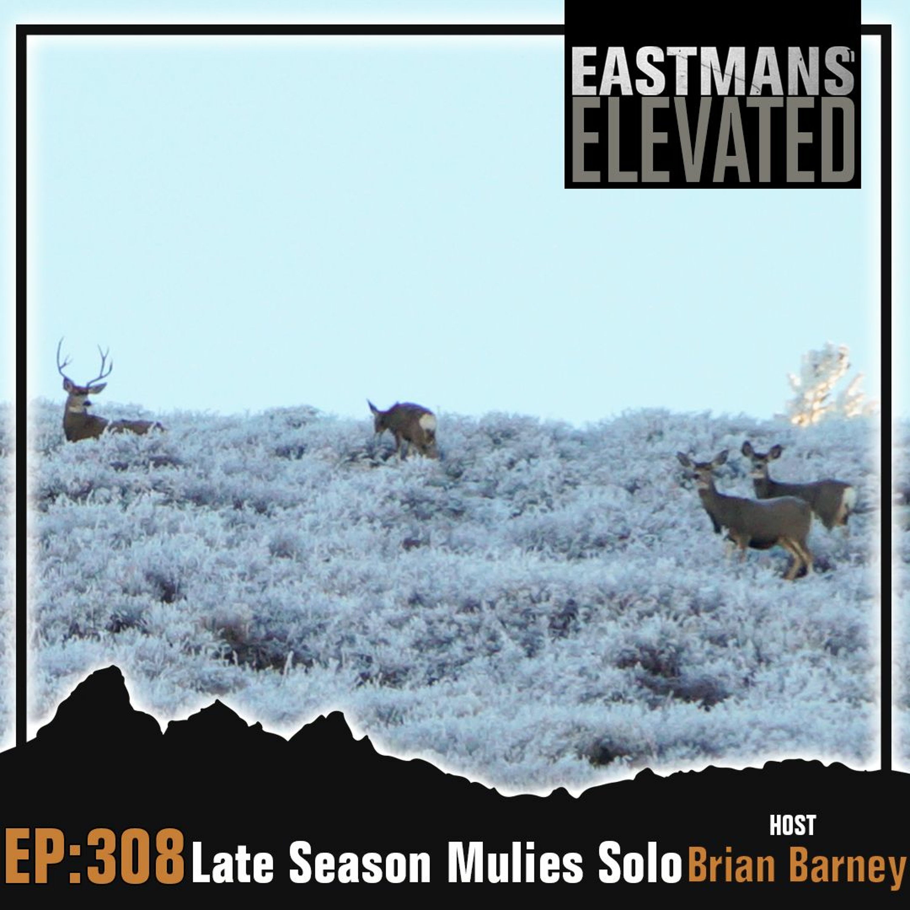 Episode 308: Late Season Mulies Solo with Brian Barney