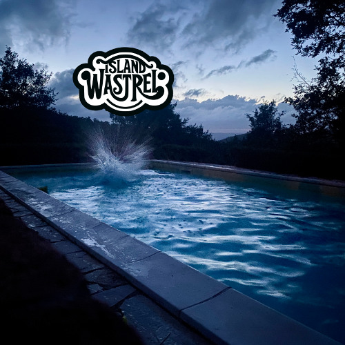 Island Wastrel - The Plot