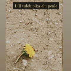 lill tuleb pika elu peale