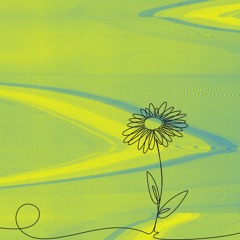 Static Bloom