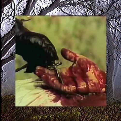$UICIDEBOY$ - O LORD! I HAVE MY DOUBTS (slowed)