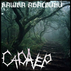 кашка абасрини