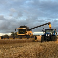 Harvest 2K20 🤟🏼
