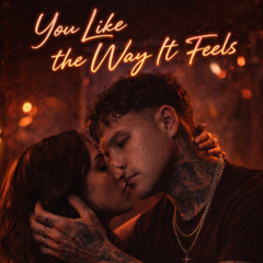 You Like the Way It Feels