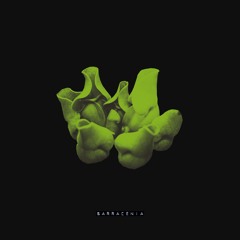 oze - sarracenia
