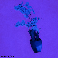 nevermind.  (prod. LMG x Everestdidthis)