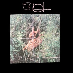 Fool