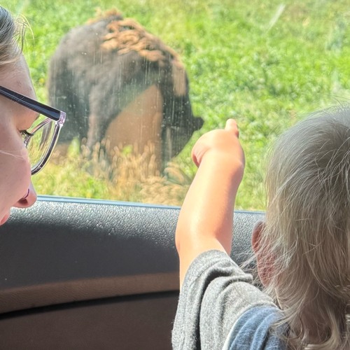 VICTIM ---> THIRTYSINS