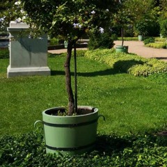 01 - Monoton The Green Boom  - The Green Boom