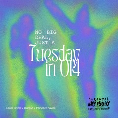 A TUESDAY IN 014 Ft Duppy! & Phoenix Havoc