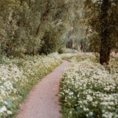 DUOFACIES - BEAUTIFUL