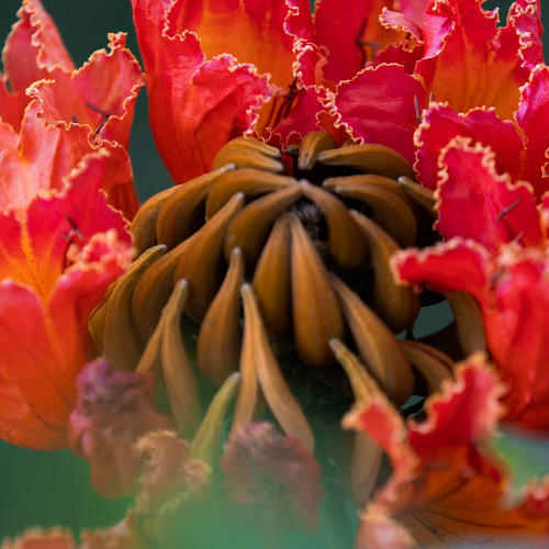 Rizz Miami Anthem – Juan More Time (Bootleg Edit)