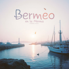 Bermeo en la Marea